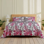 Premium Printed Cotton Bedsheet -H38