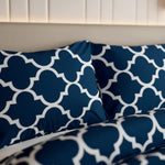 Premium Printed Cotton Bedsheet -H67
