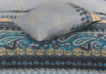 Premium Printed Cotton Bedsheet -H16